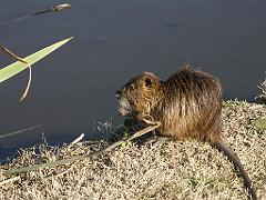 090809_San_Ceferino 079